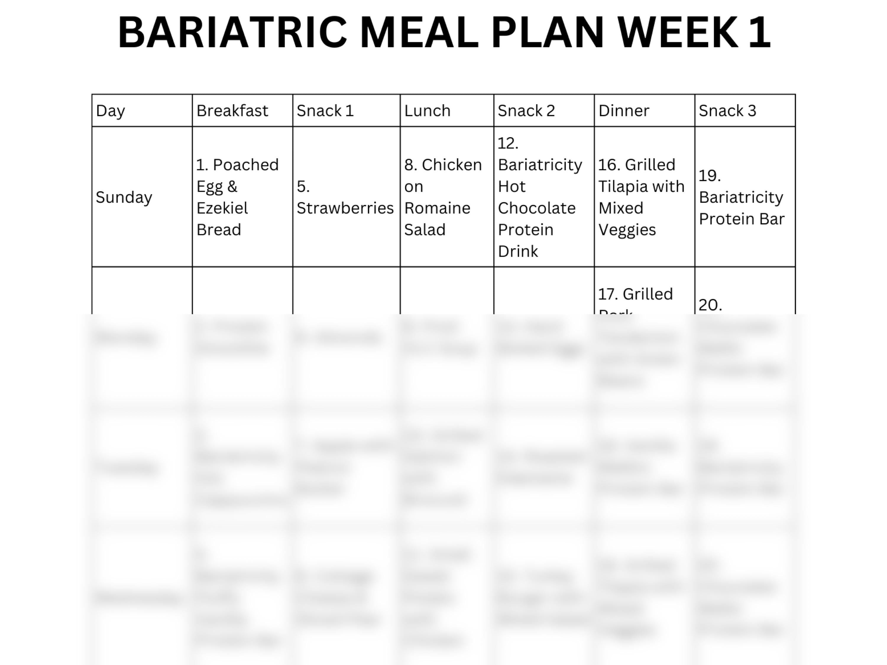 Bariatric Meal Plan Printable PDF, Gastric Bypass Diet Meal Ideas with Recipes + Weekly Shopping Lists